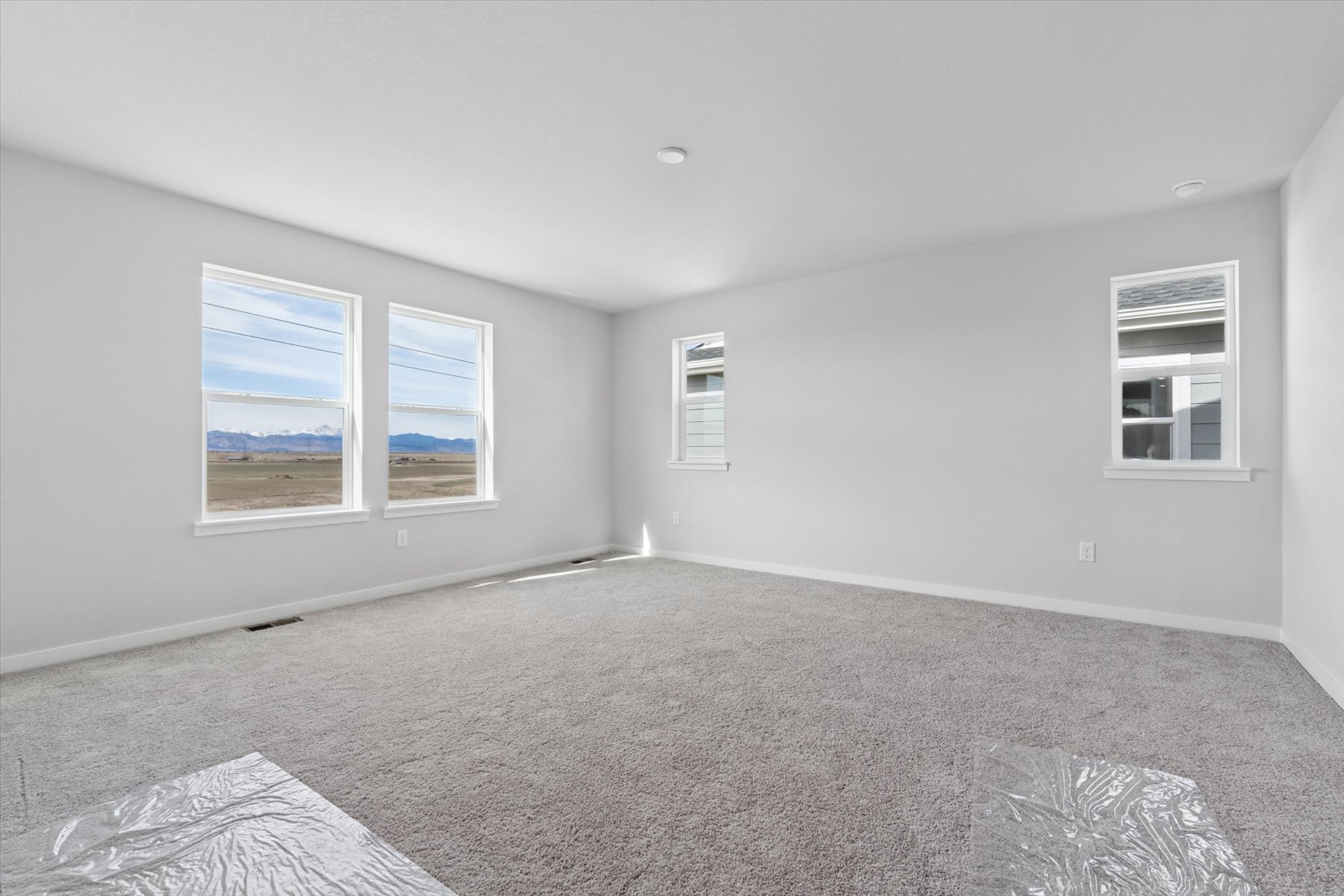 A room with a carpet and windows.