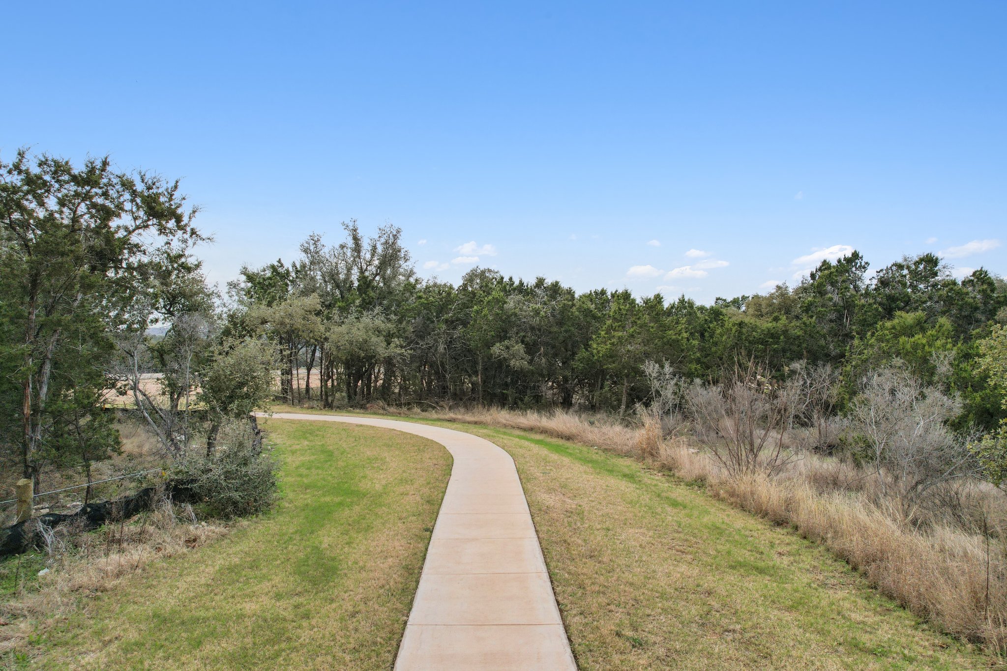 A dirt road surrounded by trees.