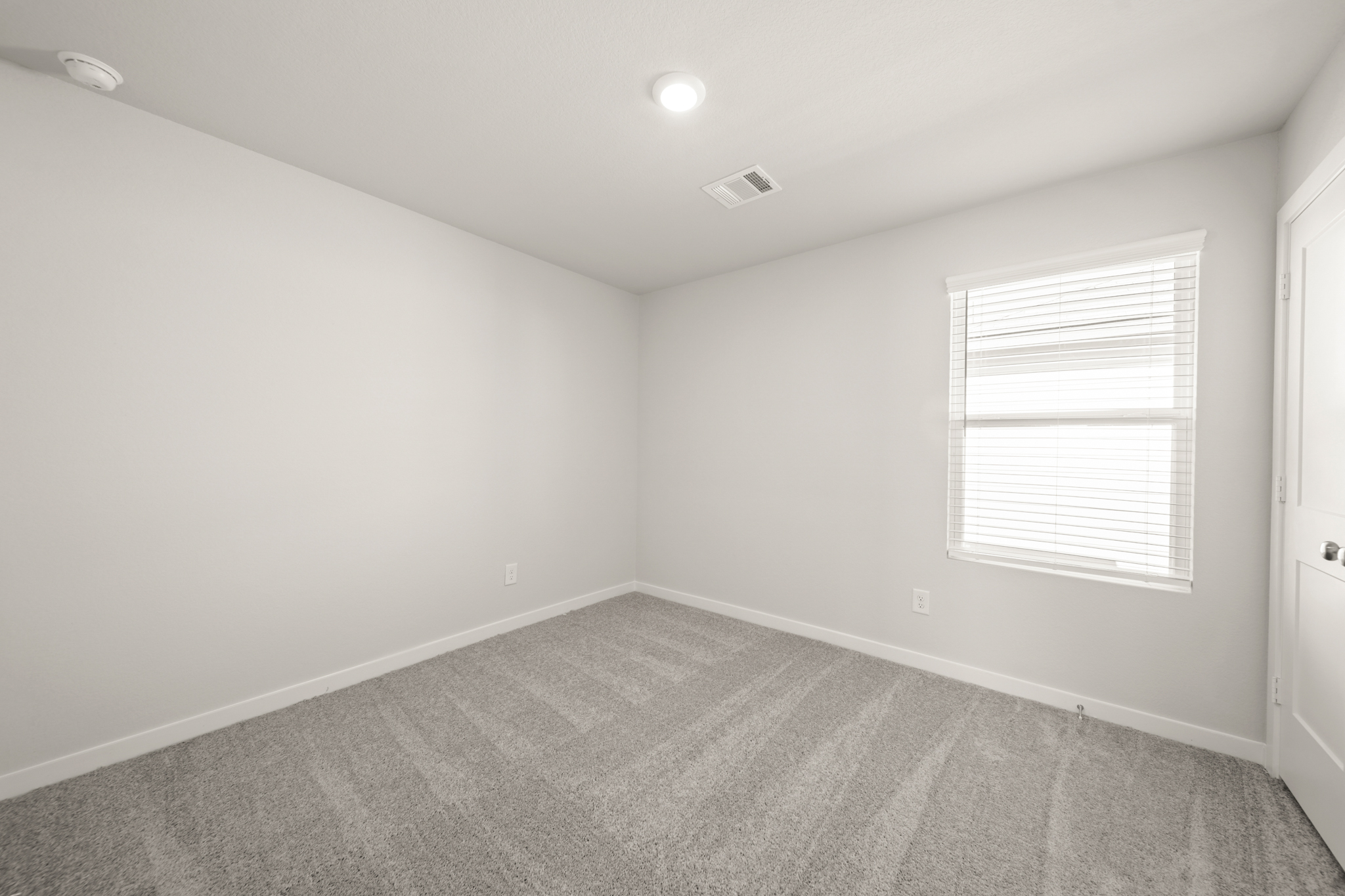 A room with a carpet and windows.