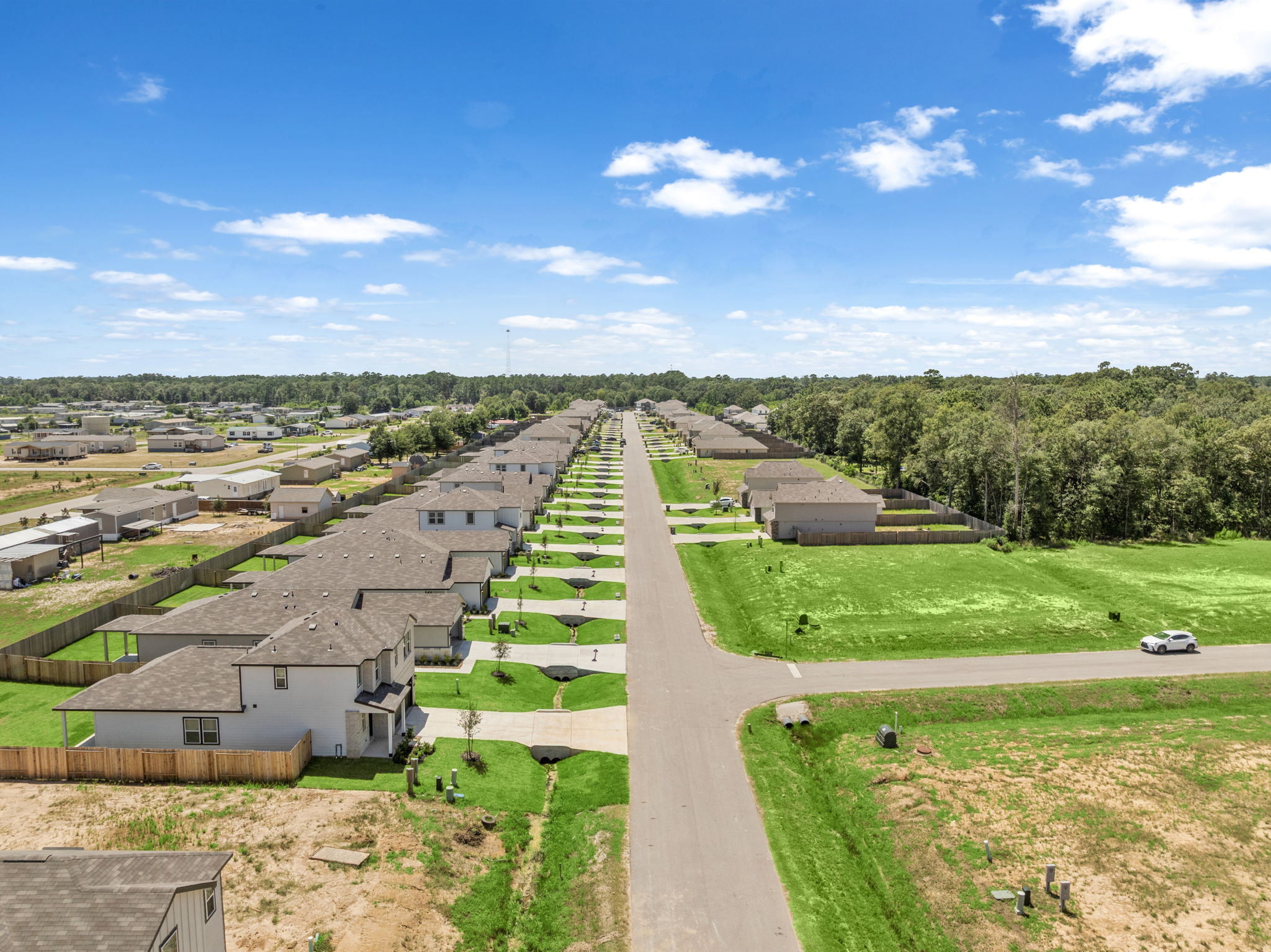A road with houses and trees.