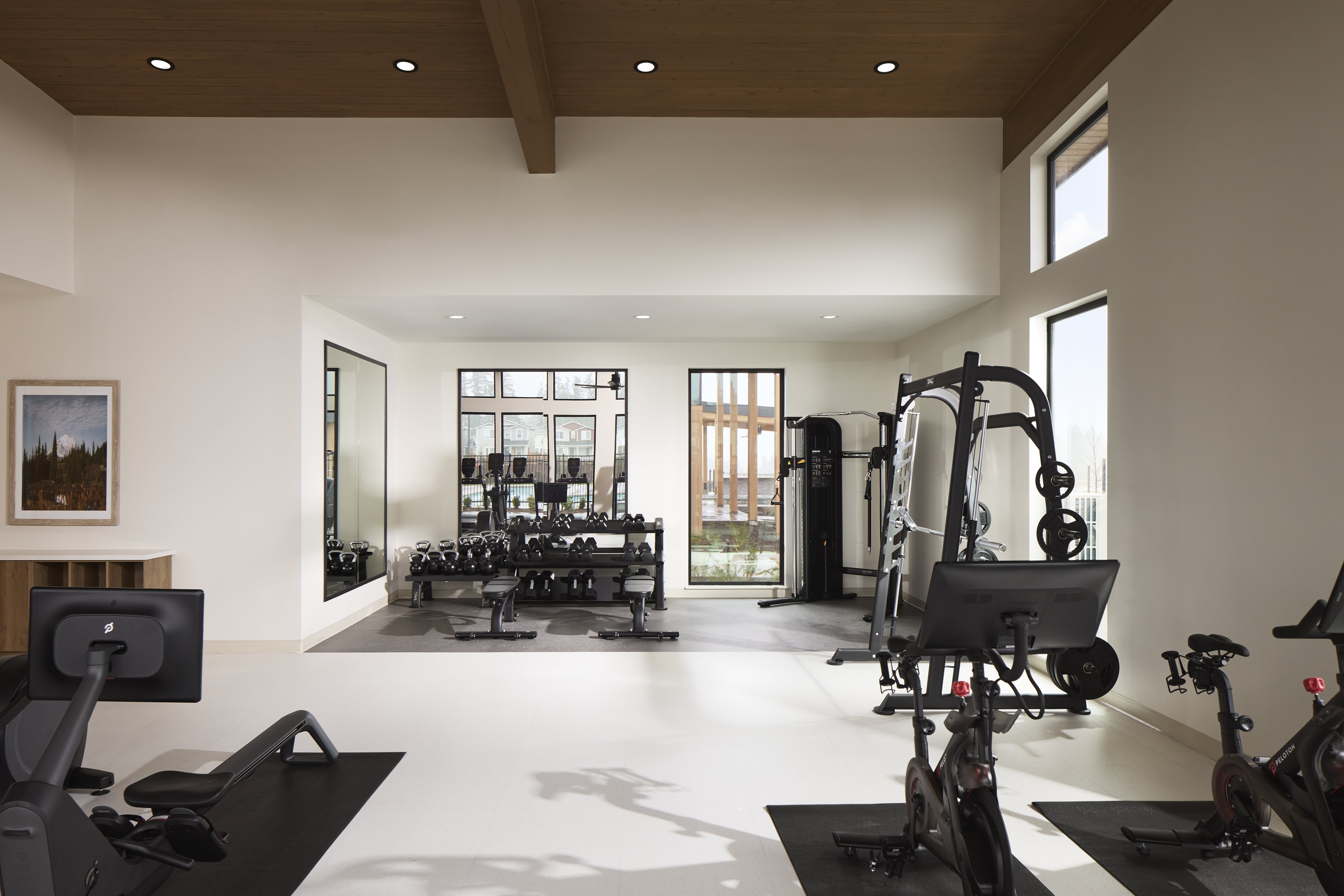 20251205_morismorenophotography_tarragon_7228-min