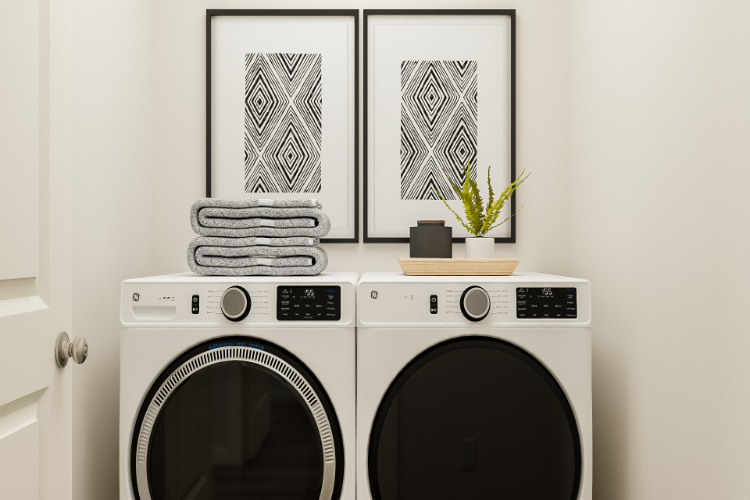 A washing machine and a plant.