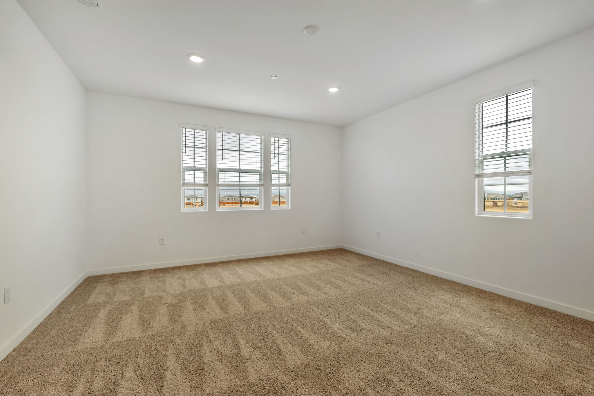 A room with a carpet and windows.